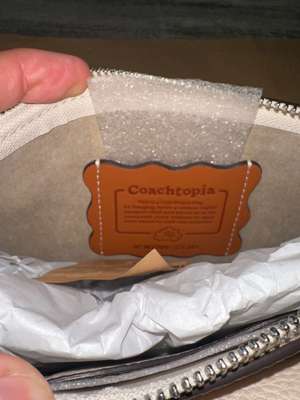 COACHTOPIA 2-in-1 Wavy Double Pouch Bag ☁️ - Picture 12 of 14